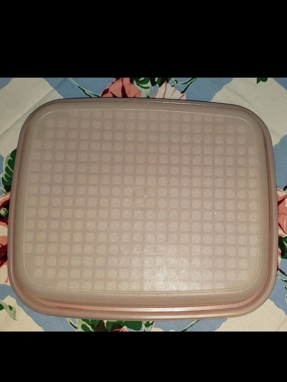 Vintage Two (2) Piece Orange Season & Serve Meat Marinade Tupperware Container